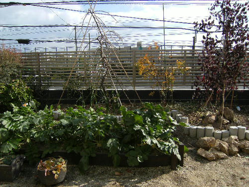 DSCF0577.JPG