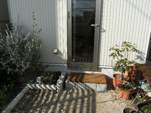 DSCF0579.JPG