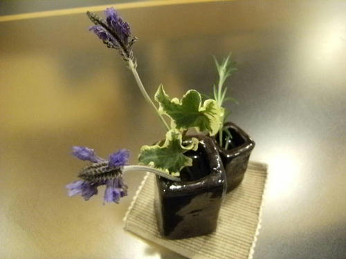 DSCF0608.JPG