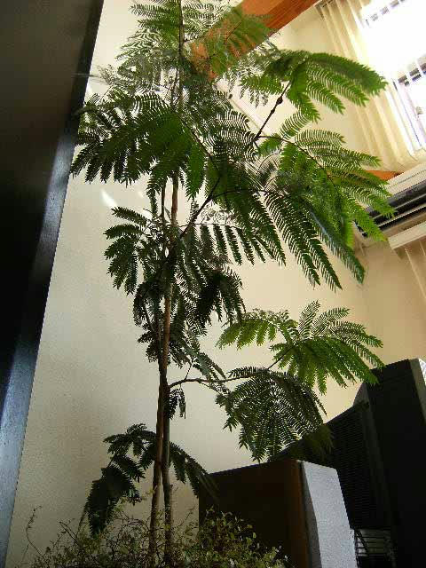 DSCF0611-1.jpg