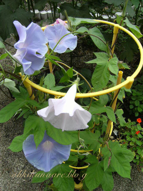 26be6273.jpg