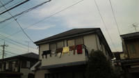 d3d15384.jpg