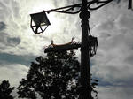 DVC00068.JPG