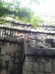 DVC00103.JPG