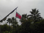 DVC00111.JPG