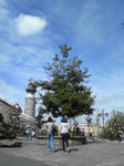DVC00123.JPG
