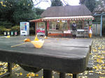 DVC002912.jpg