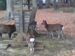 DVC002962.jpg