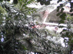 DVC003032.jpg