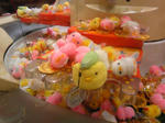 DVC00125.JPG