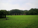 P1040024.JPG