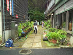 c9b965a4.JPG
