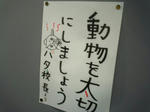 P1011100.JPG