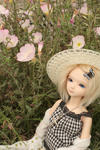 IMG_0129.JPG