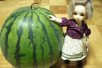 IMG_0253.JPG