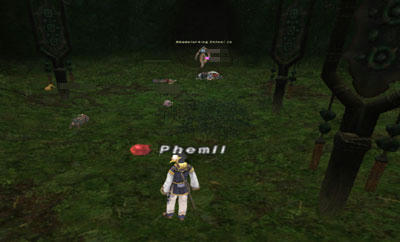 Phe071230_07.jpg