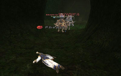 Phe071230_05.jpg