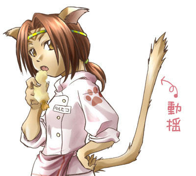 neko_02.jpg