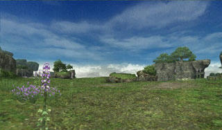 Phe070622003517a.jpg