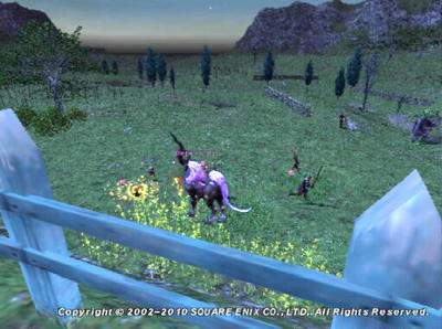 Phe100613200318a.jpg