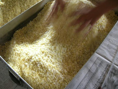 米麹と大豆を混ぜ合わせます。