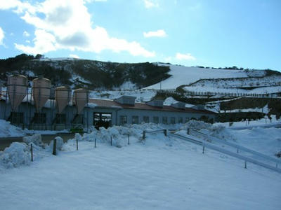 ここも伊豆です。標高８００ｍにある牧場。まるで雪国でした。