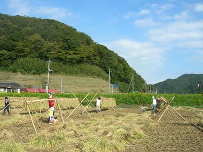 去年の稲刈りの時に援農に来てくれた皆さん