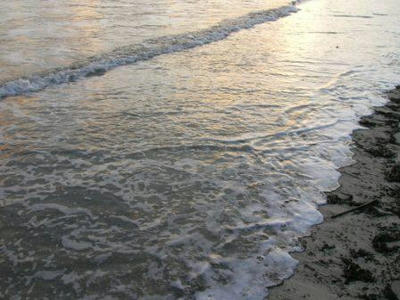 海