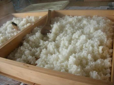 蒸し米に麹菌を混ぜ合わせる