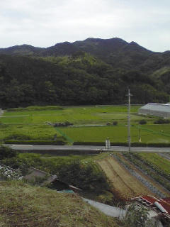 家の裏山から見た景色