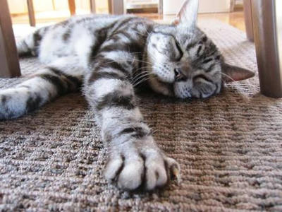 睡眠の秋