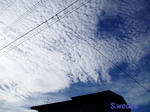 P1010001-S.jpg