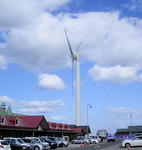 e03690f3.JPG