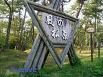 PA250021.JPG