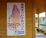 PA250030.JPG