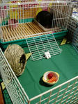 PB150005.JPG