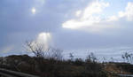 PC260007.JPG