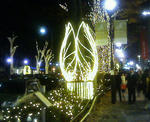 200912022023000omotesanndou.jpg