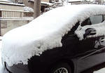 DSC00429.JPG