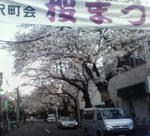 201004011737000sakura.jpg