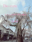 DSC00548.JPG