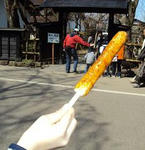 DSC00559.JPG