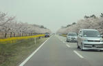 DSC00617.JPG