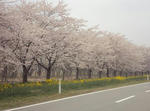 DSC00611.JPG