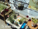 DSC00789.JPG