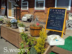 DSC00795.JPG