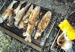 DSC01024.JPG