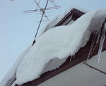 DSC01809.JPG