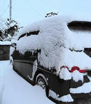 DSC01903.JPG