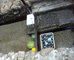 c7dc2301.JPG